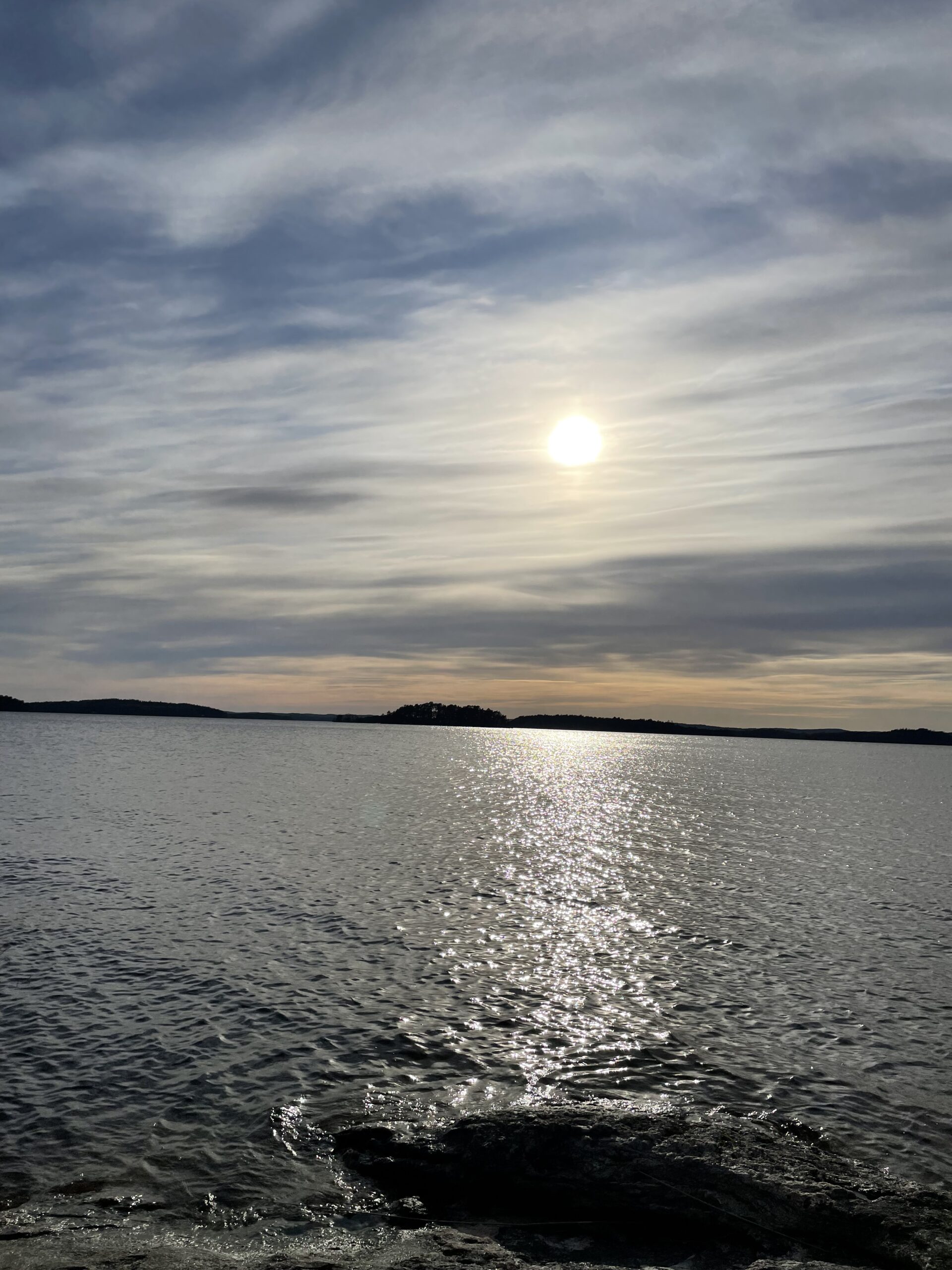skapandet av hemsidan